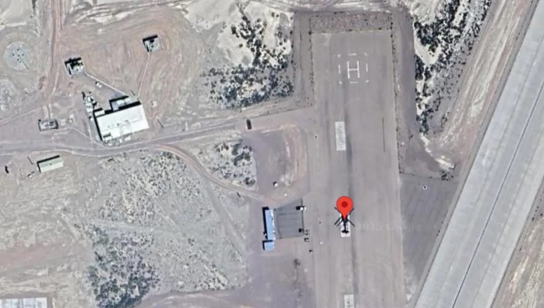 image of The Mechanical Bird's Nest