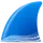 Wireshark logo