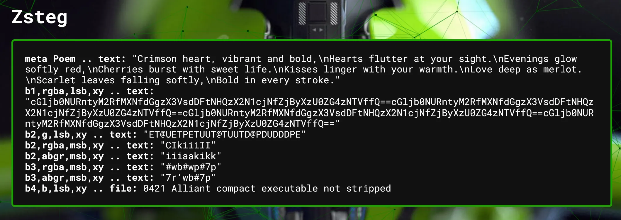 zsteg.png